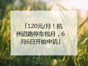 120元/月！杭州道路停车包月，6月6日开始申请